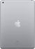 Apple iPad 9.7" (2017) WiFi (32GB, Space Gray) (Refurbished) iPad Apple 