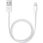Apple USB Type-A to Lightning Cable 1.6'